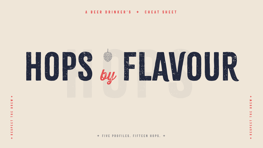 Hops by Flavour Profile: a guide to craft beer hops, their five flavour categories, and the glassware to match, from Craft Beer Glasses Australia.